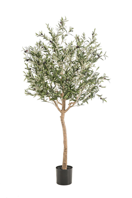 Kunstpflanze Olea europaea Olivenbaum 180 cm – Pflegeleicht & Dekorativ | Pflanzfix24.de - Pflanzfix24.de