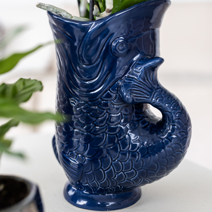 Kolibri Orchids Set | Orchidee Lima & Sukkulenten - Pflanzfix24