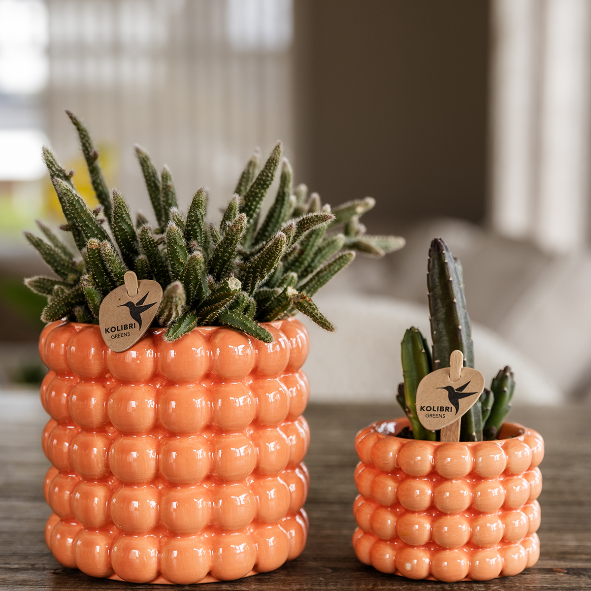 pflanzfix24 | Poppy Ziertopf - Orange - Ø6cm