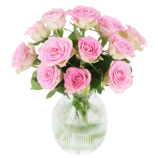 Süße Rosen – rosa Rosen im Briefkastenpaket bei Pflanzfix24.de - Pflanzfix24.de
