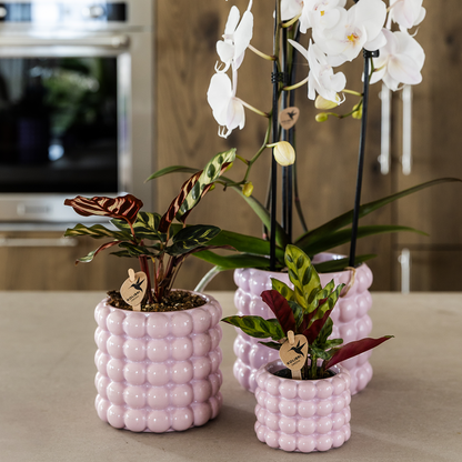 pflanzfix24 | Kolibri Home | Poppy Ziertopf - Pink - Ø9cm