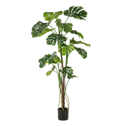 Kunstpflanze Monstera Gatenplant 180 cm | Pflanzfix24.de - Pflanzfix24.de