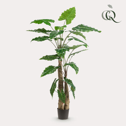 Kunst-Alocasia 180 cm – Pflanzfix24.de - Pflanzfix24.de