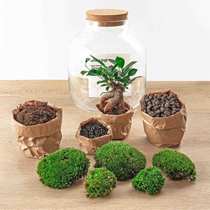 Flaschengarten - Billie - DIY Set - Pflanzfix24
