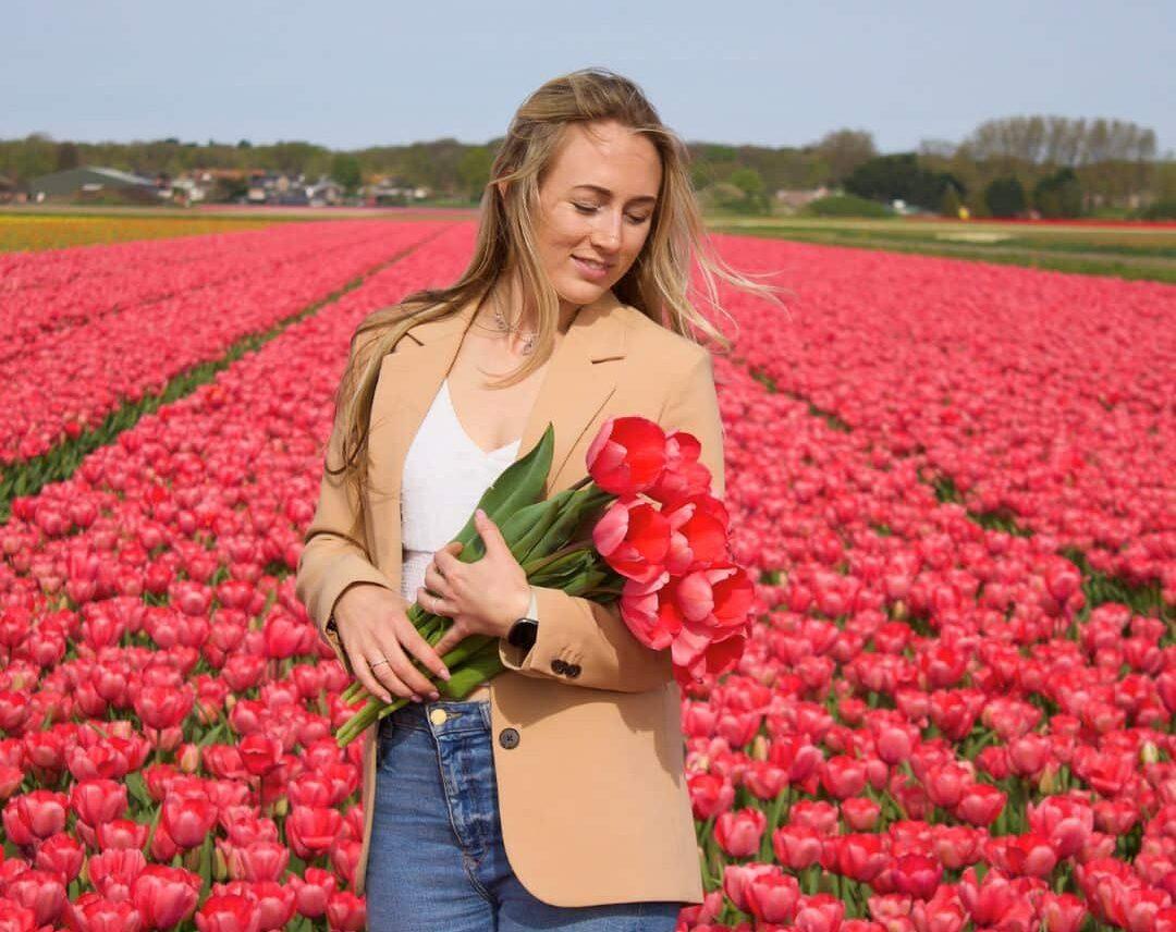 Tulpe 'Van Eijk' - 15 Blumenzwiebeln - Größe 12+ von Pflanzfix24