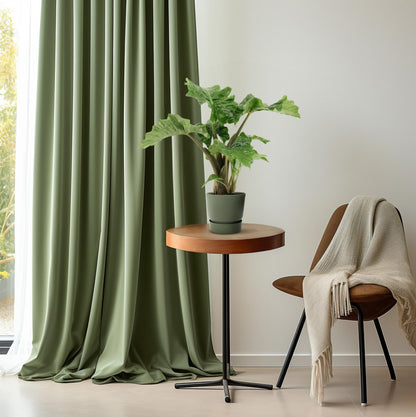 Alocasia Low Rider - Ø17cm - ↕50cm - Pflanzfix24