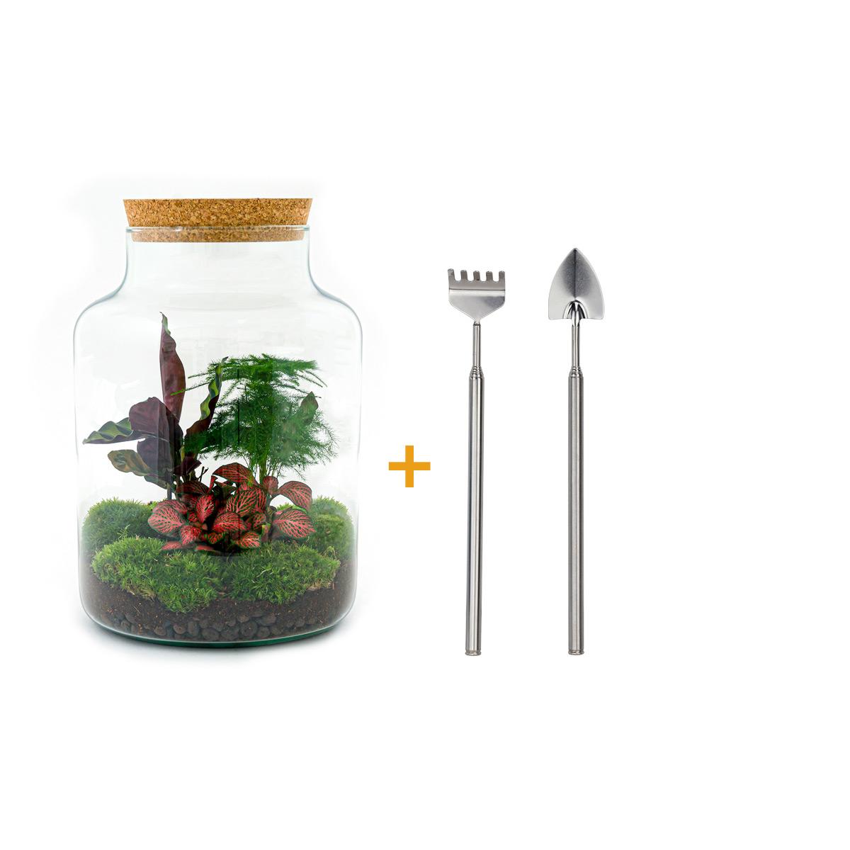 Flaschengarten - Milky - ↕ 30 cm - Rake + Shovel - Pflanzfix24.de - Pflanzfix24.de