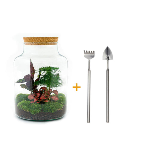 Flaschengarten - Milky - ↕ 30 cm - Rake + Shovel - Pflanzfix24.de - Pflanzfix24.de