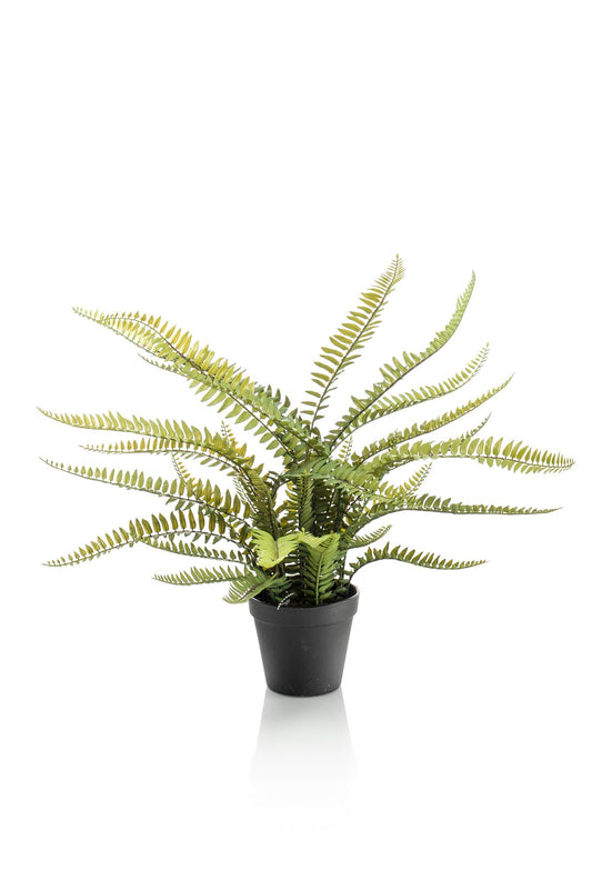 Kunstpflanze Nephrolepis Exaltata Boston Farn 55 cm – Pflegeleicht & Realistisch | Pflanzfix24.de - Pflanzfix24.de