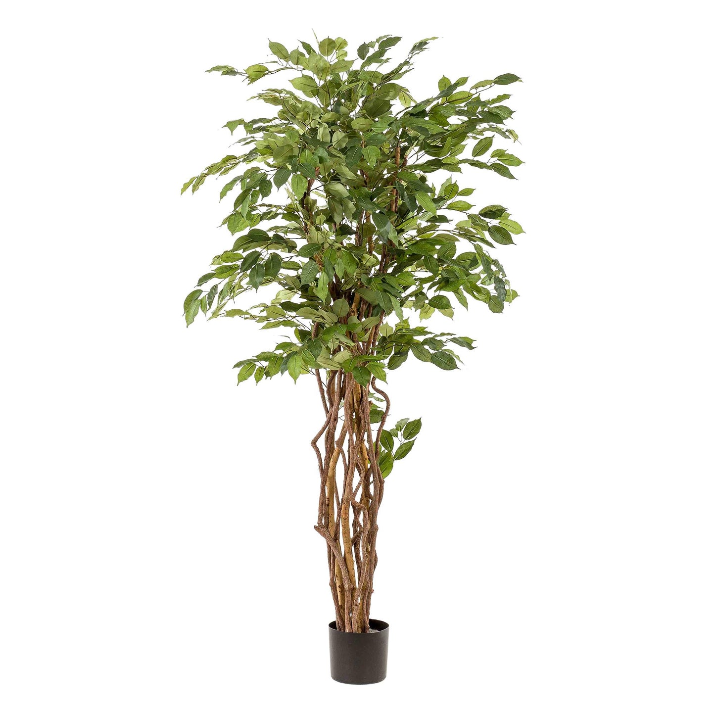 Kunst-Ficus Liana 170 cm – Realistische Deko | Pflanzfix24.de - Pflanzfix24.de
