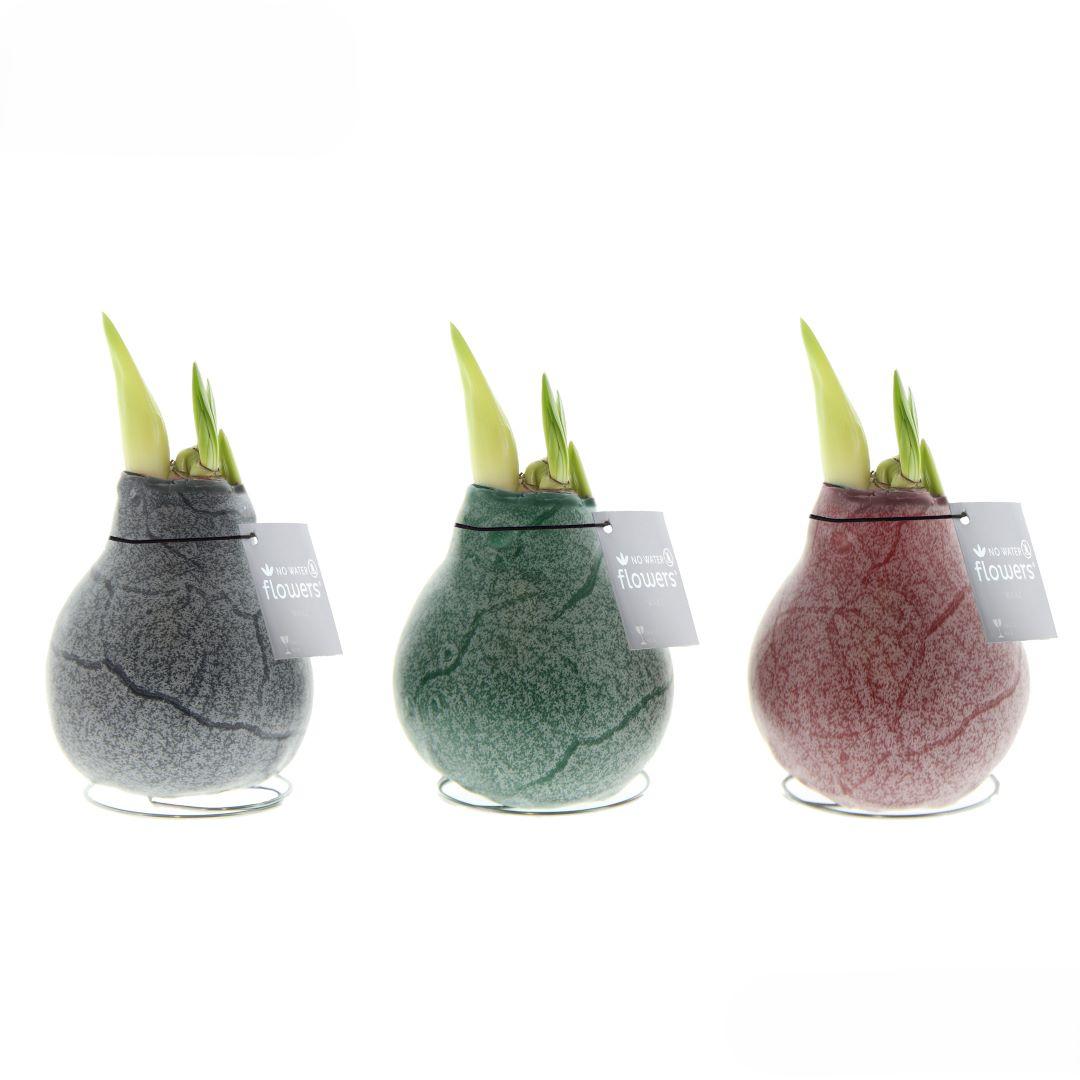 No Water Flowers® Waxz® Marble Mix (3 pack) + Red flower - Pflanzfix24