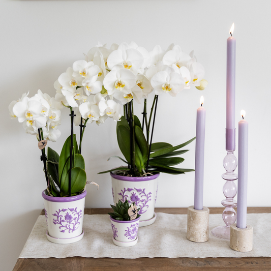 Malaga Topf Lilac Ø9cm – Dekorativer Keramiktopf | Pflanzfix24