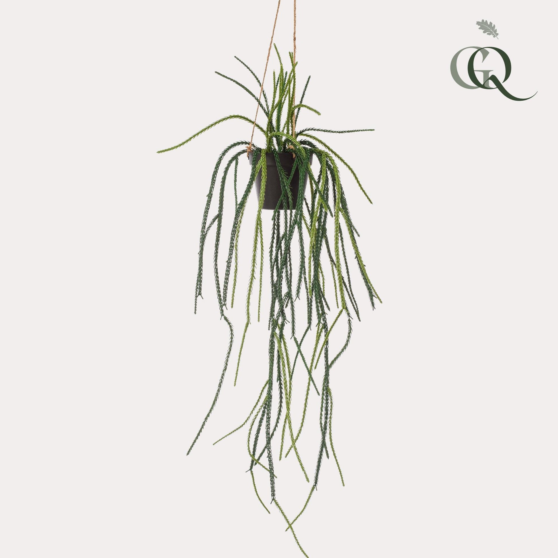 Kunstpflanze Rhipsalis Korallenkaktus 85 cm – Hängende Kaktee | Pflanzfix24.de - Pflanzfix24.de