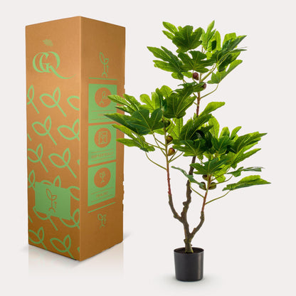 Ficus Carica Kunstfeigenbaum 95cm – Mediterran | Pflanzfix24.de - Pflanzfix24.de