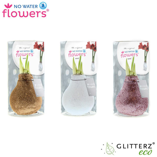 No Water Flowers Glitterz Charm Mix in Koker - 3er Set - Pflanzfix24