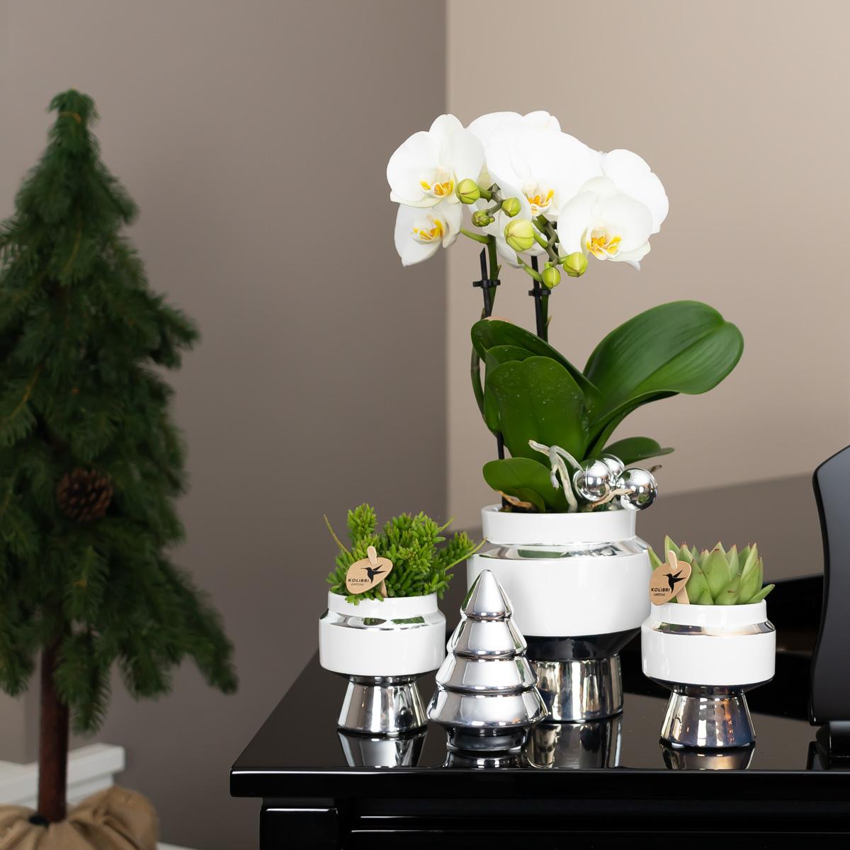 Kolibri Home Le Chic Blumentopf Weiß Ø6cm mit Silber – Keramik | Pflanzfix24.de - Pflanzfix24.de