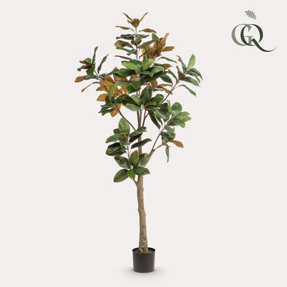 Kunstpflanze Magnolia Grandiflora – 180 cm – Realistischer Kunstbaum für Innenräume | Pflanzfix24.de - Pflanzfix24.de