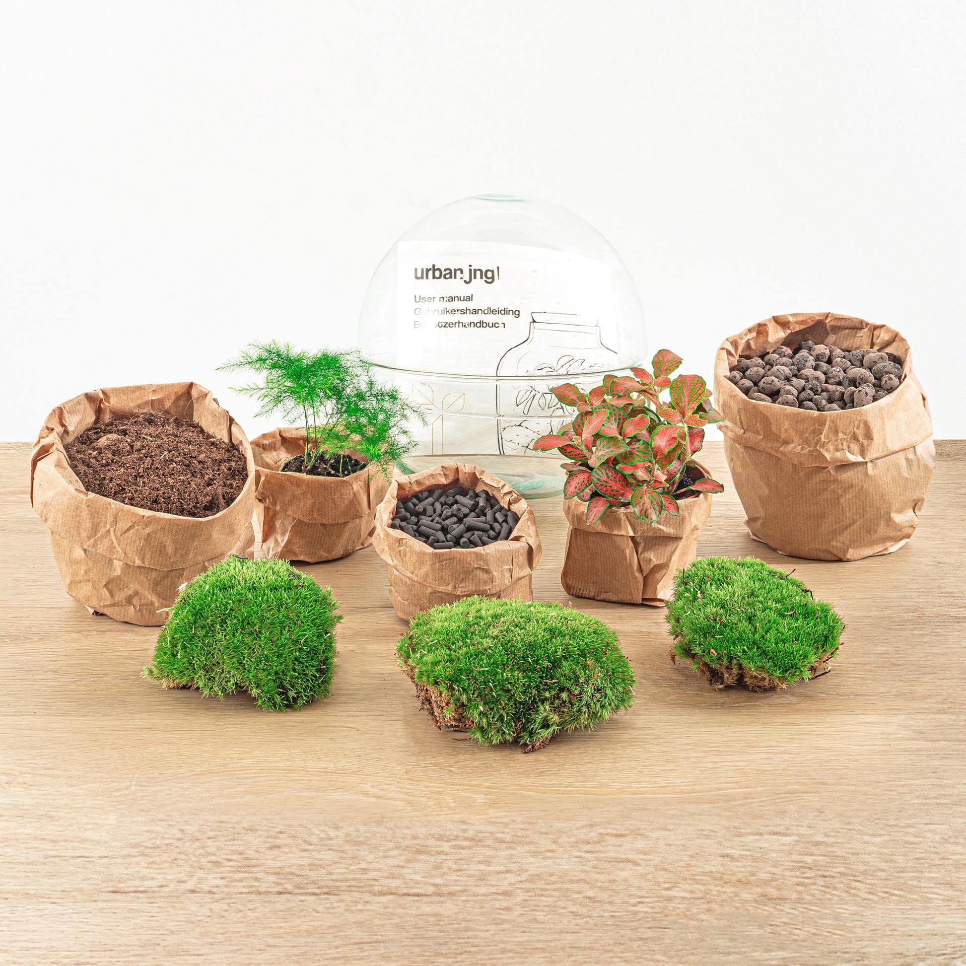 Flaschengarten - Dome Rot - DIY Set - Pflanzfix24.de - Pflanzfix24.de