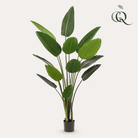 Kunst-Strelitzia Nicolai 190 cm – Paradiesvogelblume | Pflanzfix24.de - Pflanzfix24.de
