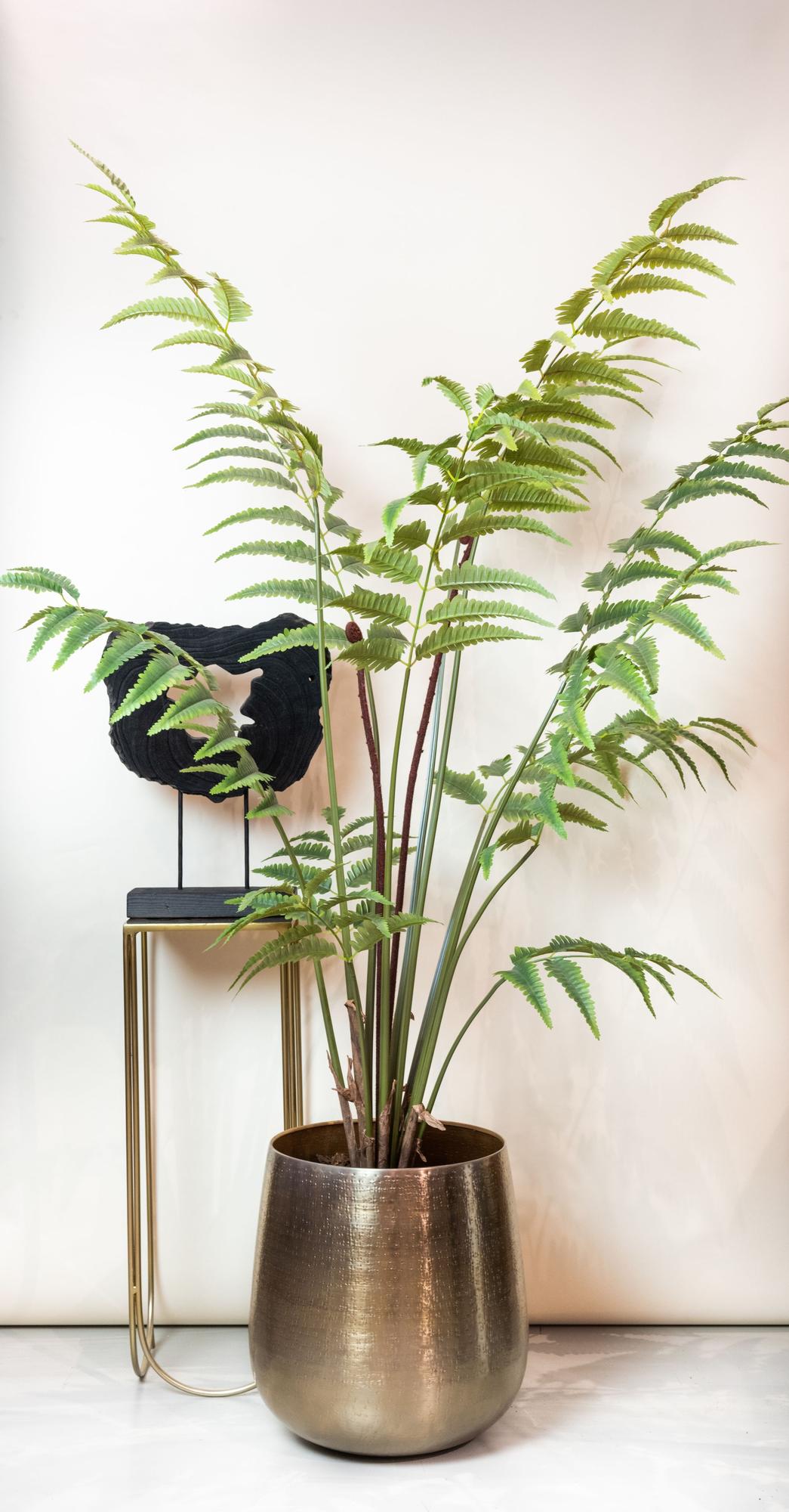 Kunstpflanze Rumohra Adiantiformis 180 cm – Lederfarn | Pflanzfix24.de - Pflanzfix24.de