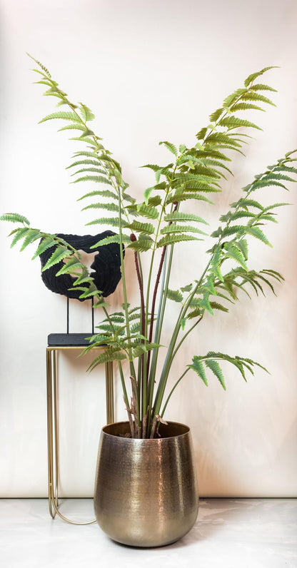 Kunstpflanze Rumohra Adiantiformis 180 cm – Lederfarn | Pflanzfix24.de - Pflanzfix24.de