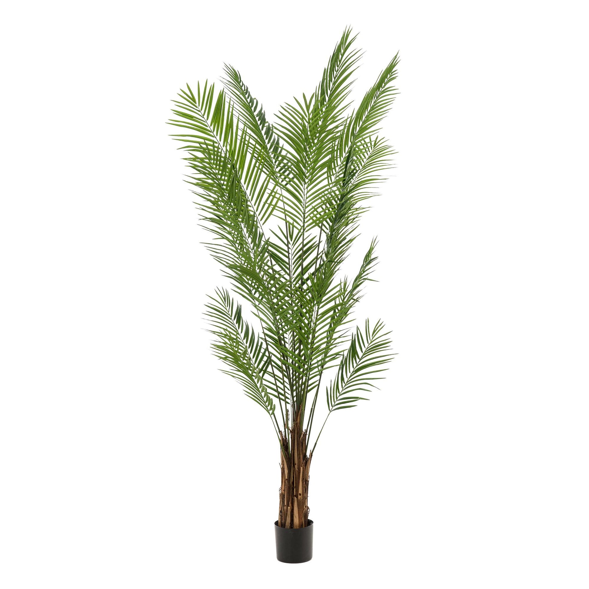 Kunstpflanze Areca Lutescens 240 cm – Goudpalm | Pflanzfix24.de - Pflanzfix24.de