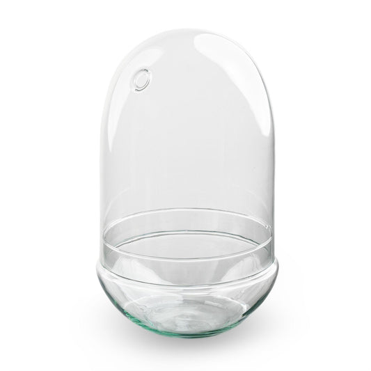 Terrarium-Flasche Egg XL 30cm rund aus Glas | Pflanzfix24.de - Pflanzfix24.de