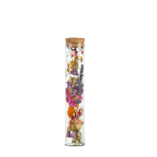Getrocknete Blumen - Wish Bottle Medium - Multi - 6 Stücke - Pflanzfix24.de - Pflanzfix24.de
