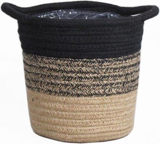 Mand Sumatra - D14 - Pflanzfix24