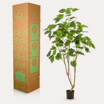 Kunstpflanze Ficus Umbellata 180 cm | Pflanzfix24.de - Pflanzfix24.de