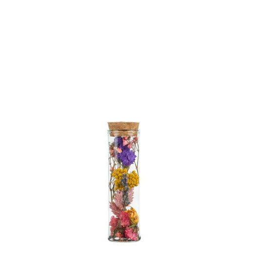 Getrocknete Blumen - Wish Bottle Small - Multi - 12 Stücke - Pflanzfix24.de - Pflanzfix24.de