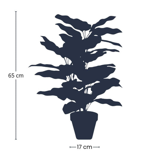 Calathea in pot - Kunstplant 65 cm - Pflanzfix24