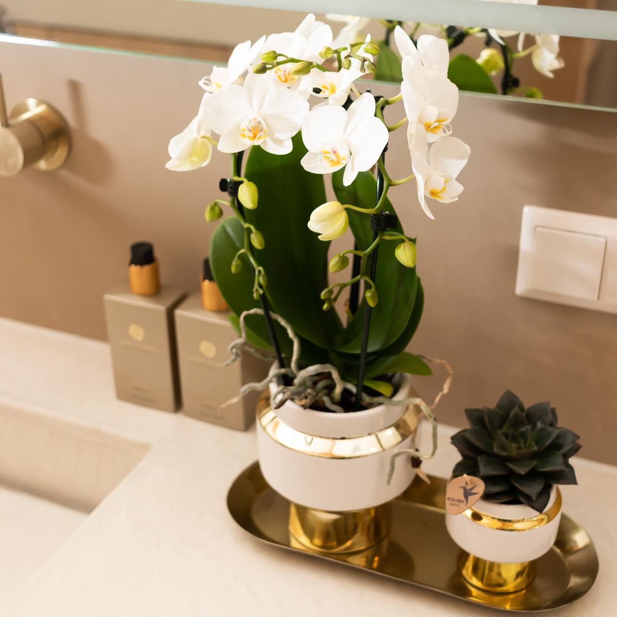 Kolibri Home Le Chic Blumentopf Weiß Ø6cm mit Gold – Keramik | Pflanzfix24.de - Pflanzfix24.de
