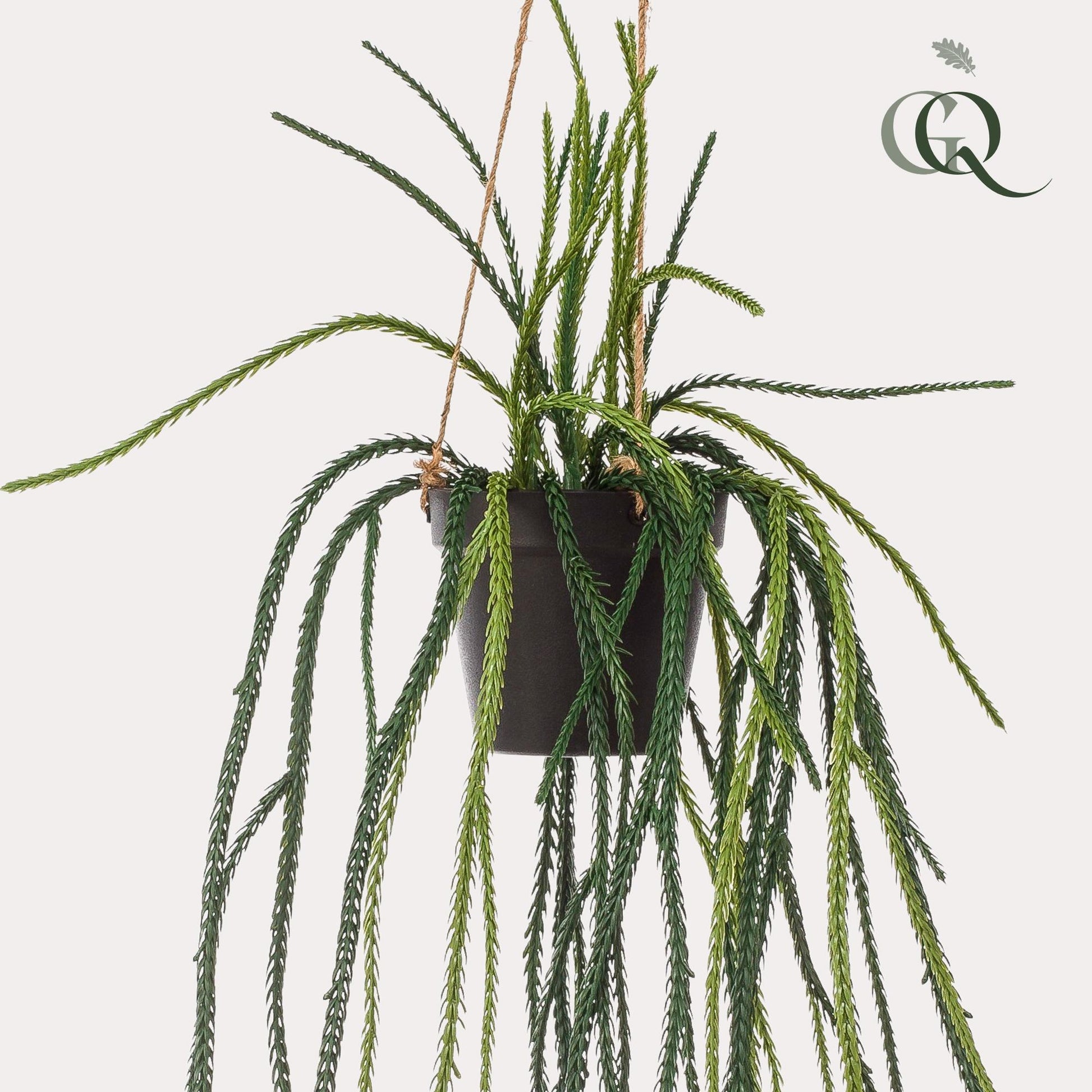 Kunstpflanze Rhipsalis Korallenkaktus 85 cm – Hängende Kaktee | Pflanzfix24.de - Pflanzfix24.de