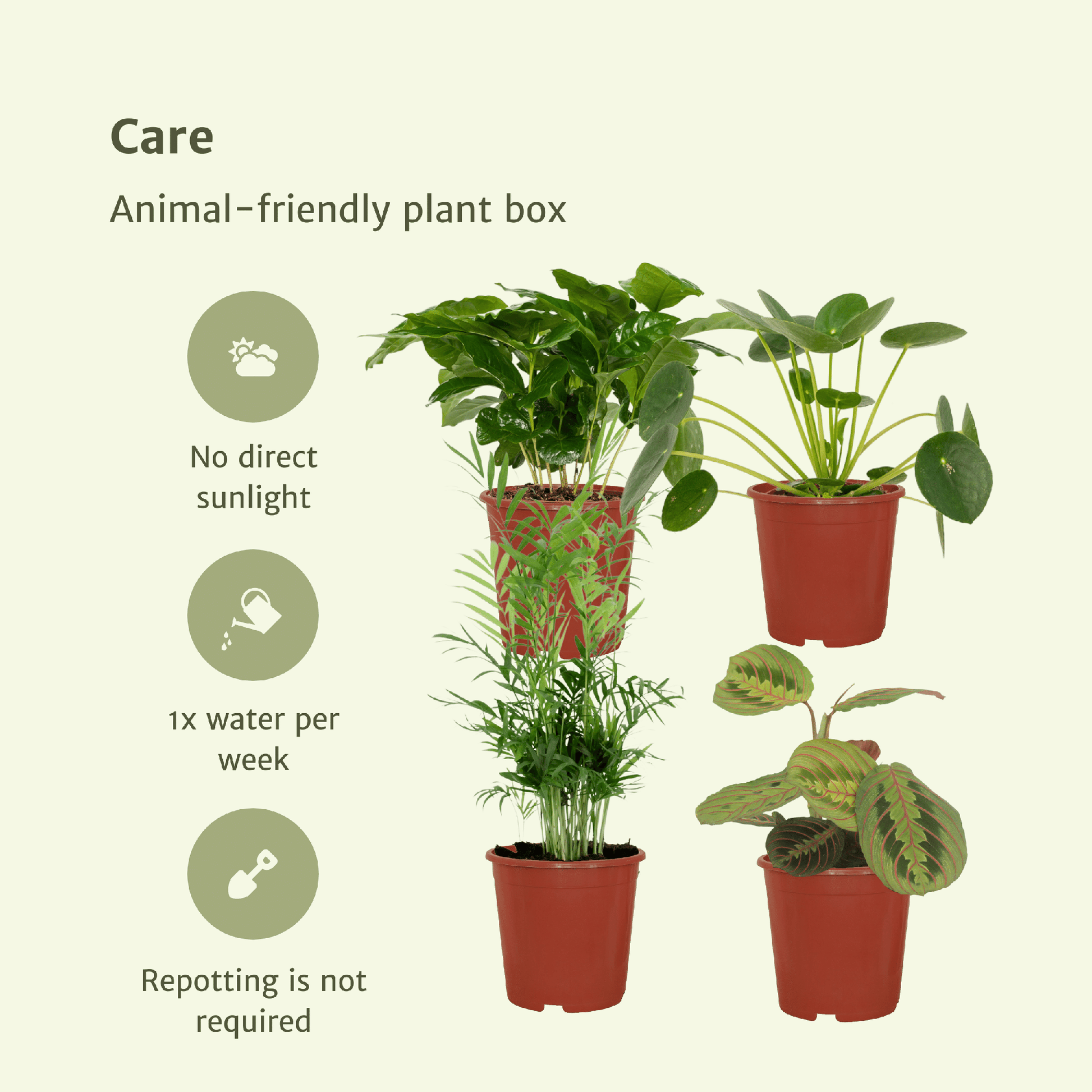 Tierfreundliche Pflanzkiste 4er-Set Ø12cm | Pflanzfix24.de - Pflanzfix24.de