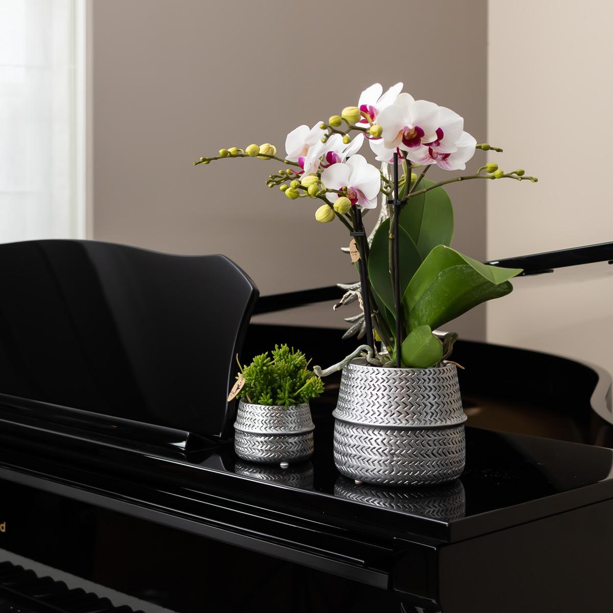 Groove Blumentopf Gold Ø12 cm – Keramiktopf | Pflanzfix24.de - Pflanzfix24.de