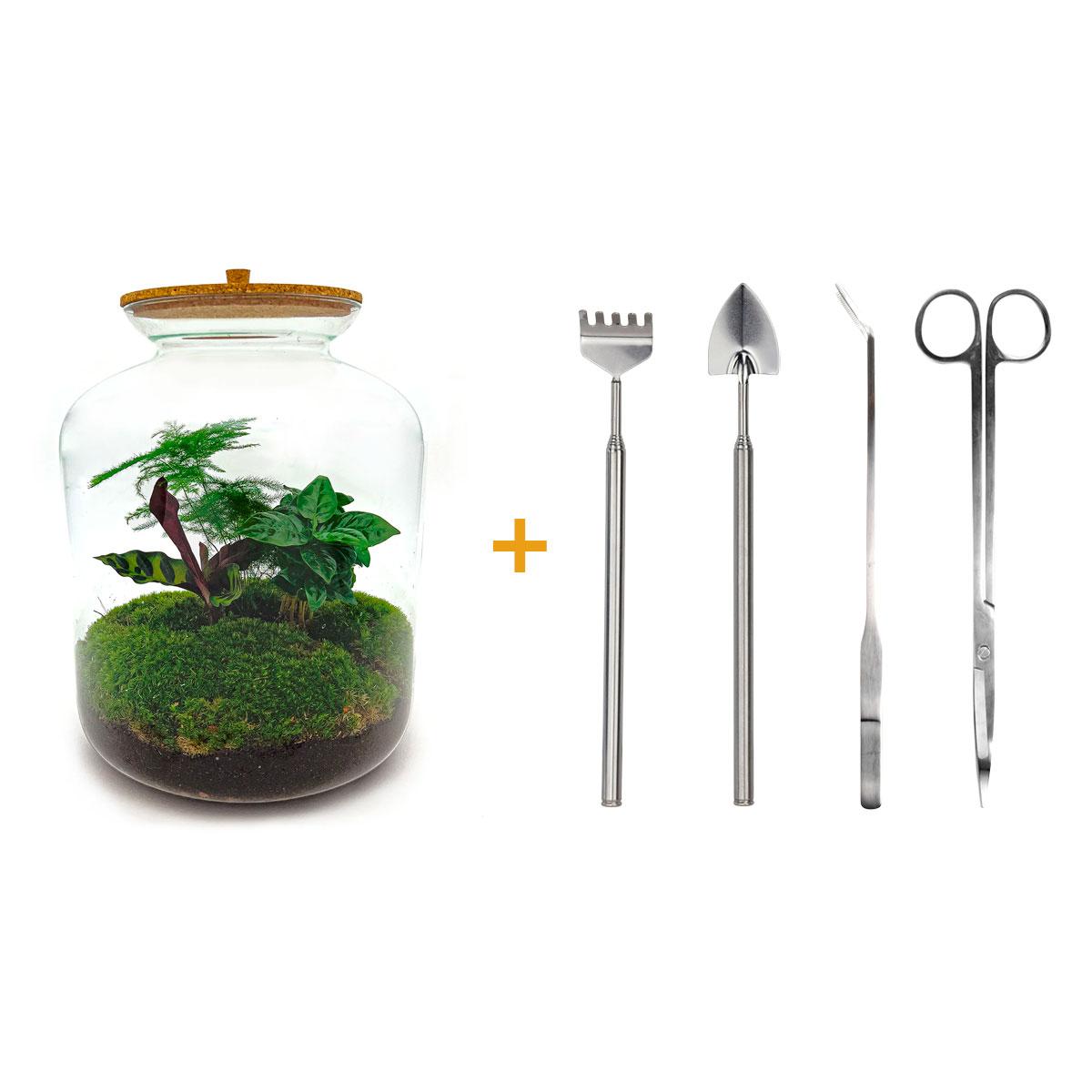 Flaschengarten - Lukas - DIY-Set - 33 cm - Rake + Shovel + Tweezer + Scissors - Pflanzfix24