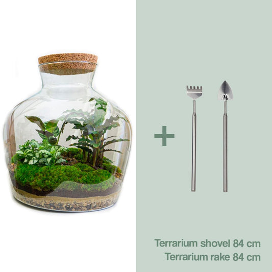 Flaschengarten - Fat Joe - ↕ 30 cm - Rake + Shovel - Pflanzfix24