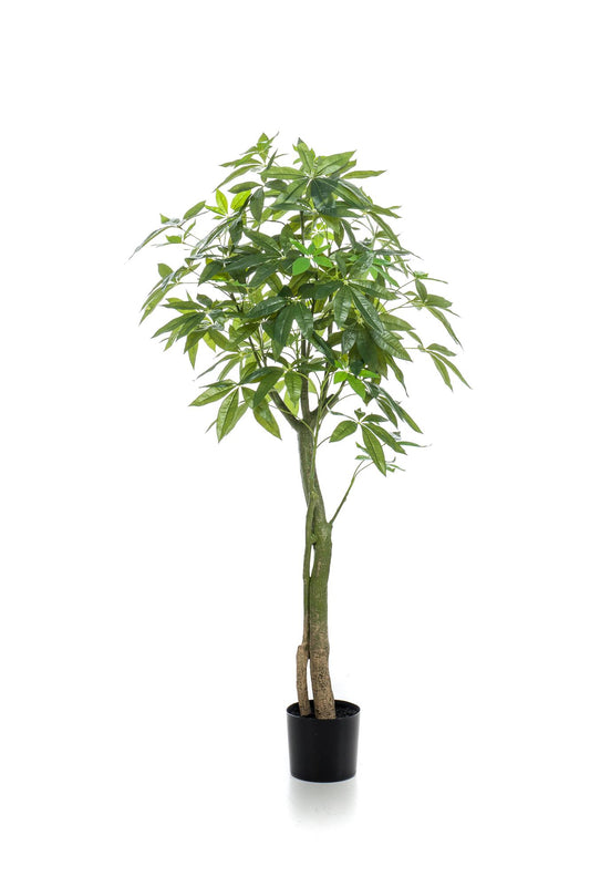 Kunstpflanze Pachira Aquatica 150 cm – Glückskastanie & Allergikerfreundlich | Pflanzfix24.de - Pflanzfix24.de