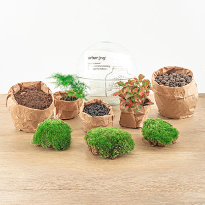 DIY Flaschengarten - Dome Rot - 20 cm - Pflanzfix24.de - Pflanzfix24.de