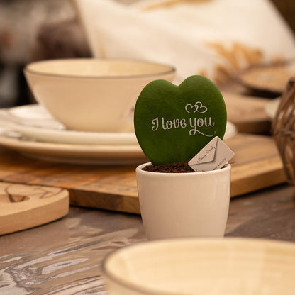 Message Printz® Hoya (Heartplant) | I love you - Pflanzfix24