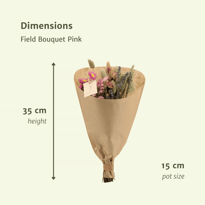 Trockenblumen Feldblumenstrauß Rosa Ø15cm | Pflanzfix24.de - Pflanzfix24.de