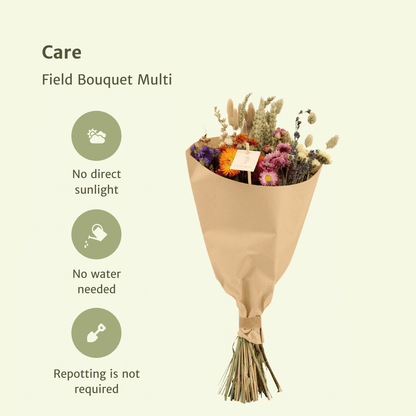 Trockenblumen Feldblumenstrauß Multi Ø20cm | Pflanzfix24.de - Pflanzfix24.de