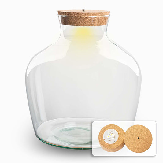 Terrarium-Flasche Fat Joe 30cm mit LED-Kork | Pflanzfix24.de - Pflanzfix24.de