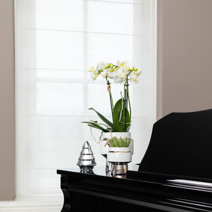 Kolibri Home Le Chic Blumentopf Weiß Ø6cm mit Silber – Keramik | Pflanzfix24.de - Pflanzfix24.de