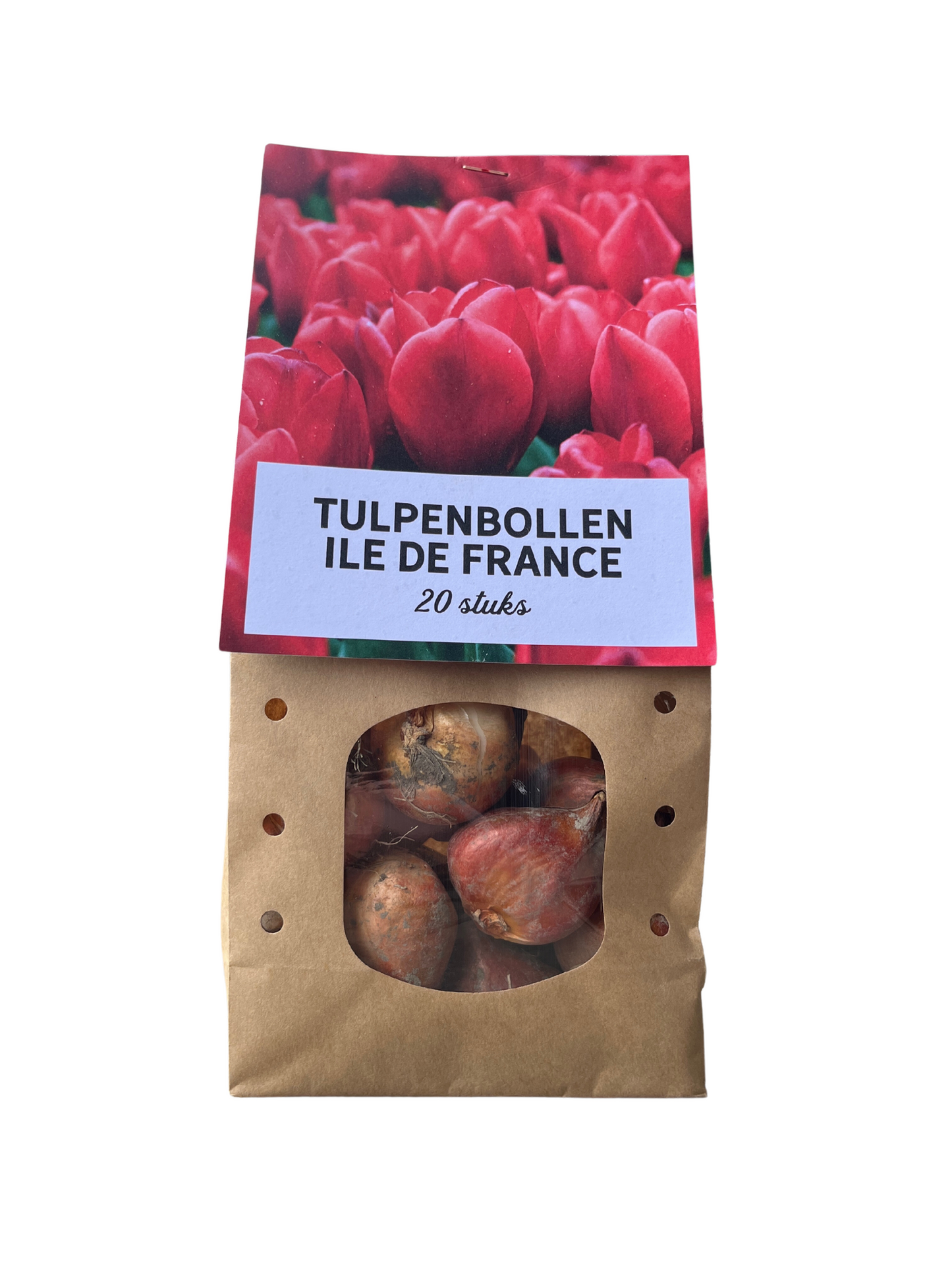 Tulpenbollen Ile de France - 20 Stuks - Pflanzfix24