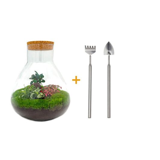 Flaschengarten - Sam XL Bonsai - ↕ 35 cm - Rake + Shovel - Pflanzfix24
