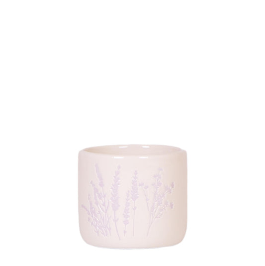 Floraler Blumentopf Lavendel Ø6cm – Pflanzfix24.de - Pflanzfix24.de