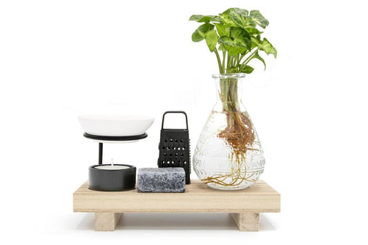 Happiness In A Box - Intenz Wellness - Ø10cm - ↕15cm | Pflanzfix24.de - Pflanzfix24.de