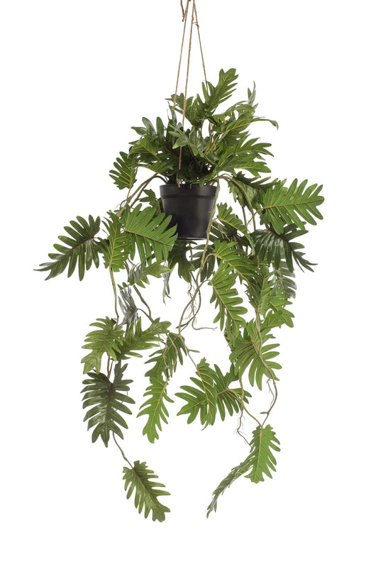 Kunstpflanze Philodendron 80 cm - Pflanzfix24.de - Pflanzfix24.de
